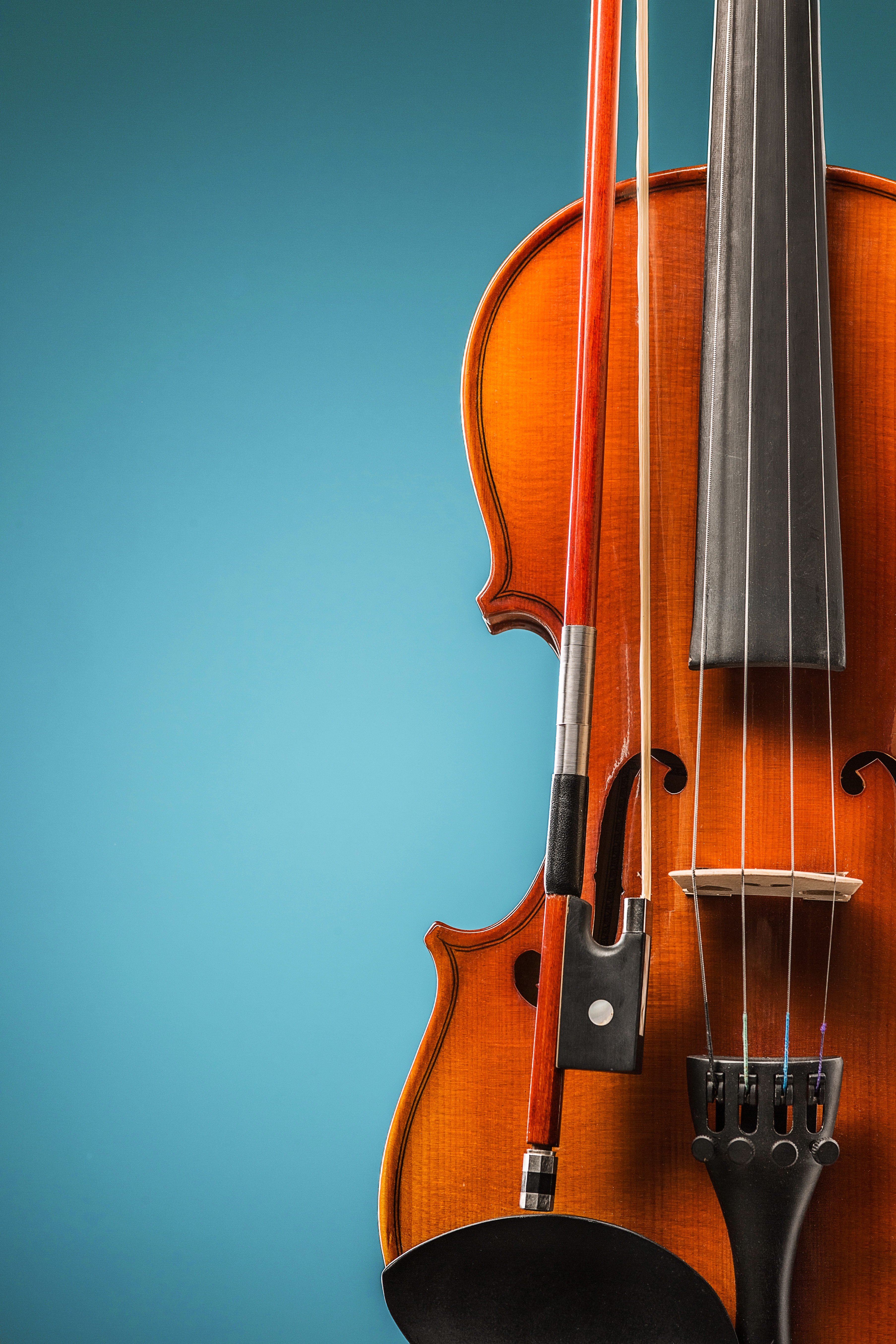 The violin front view on blue